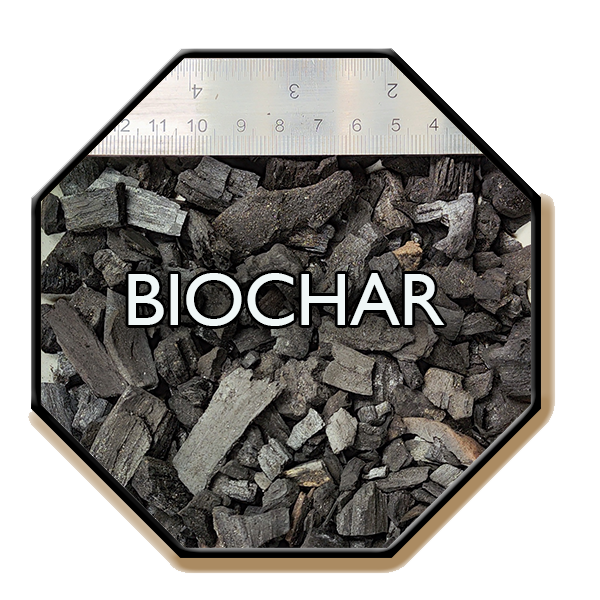 2-bichar-600x600-1
